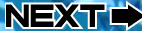 Next Image